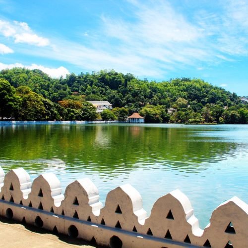 77244c3218becb1bbecbfc219f3c6d87 (1)