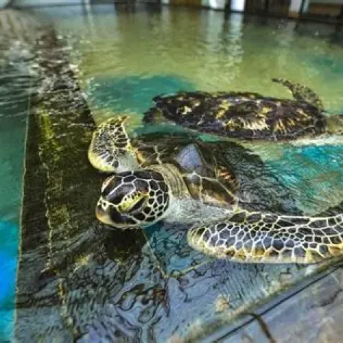 OIP - 2025-12-16T134002.336