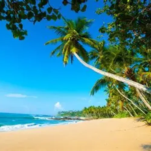 OIP - 2025-12-16T145823.522